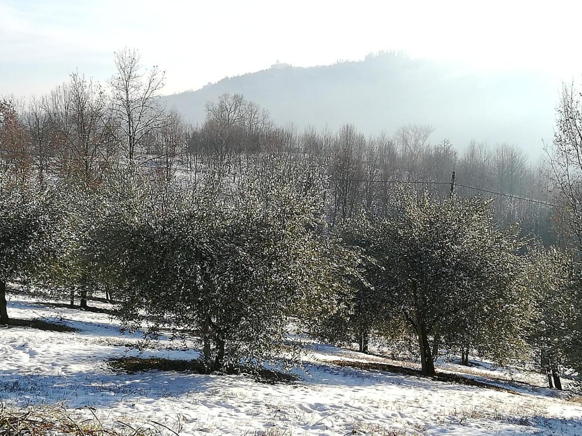 Sotto La Luna Bruna B&B 코코나토 외부 사진