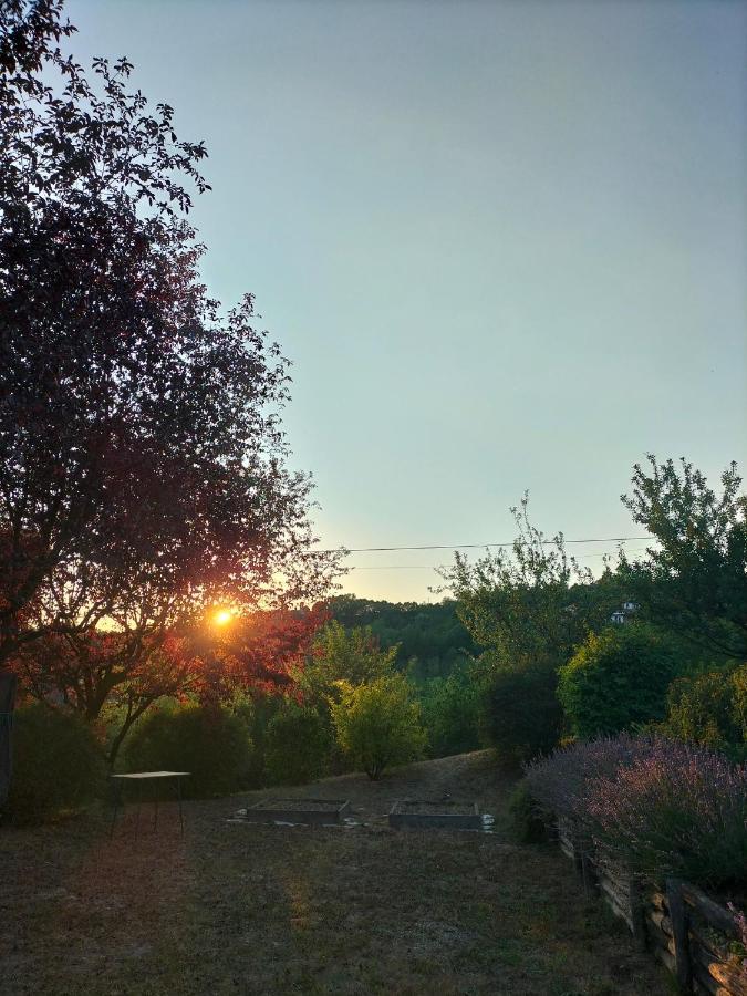 Sotto La Luna Bruna B&B 코코나토 외부 사진