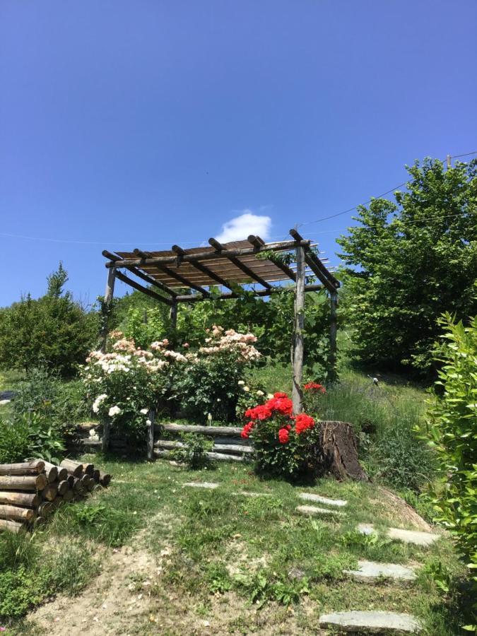 Sotto La Luna Bruna B&B 코코나토 외부 사진