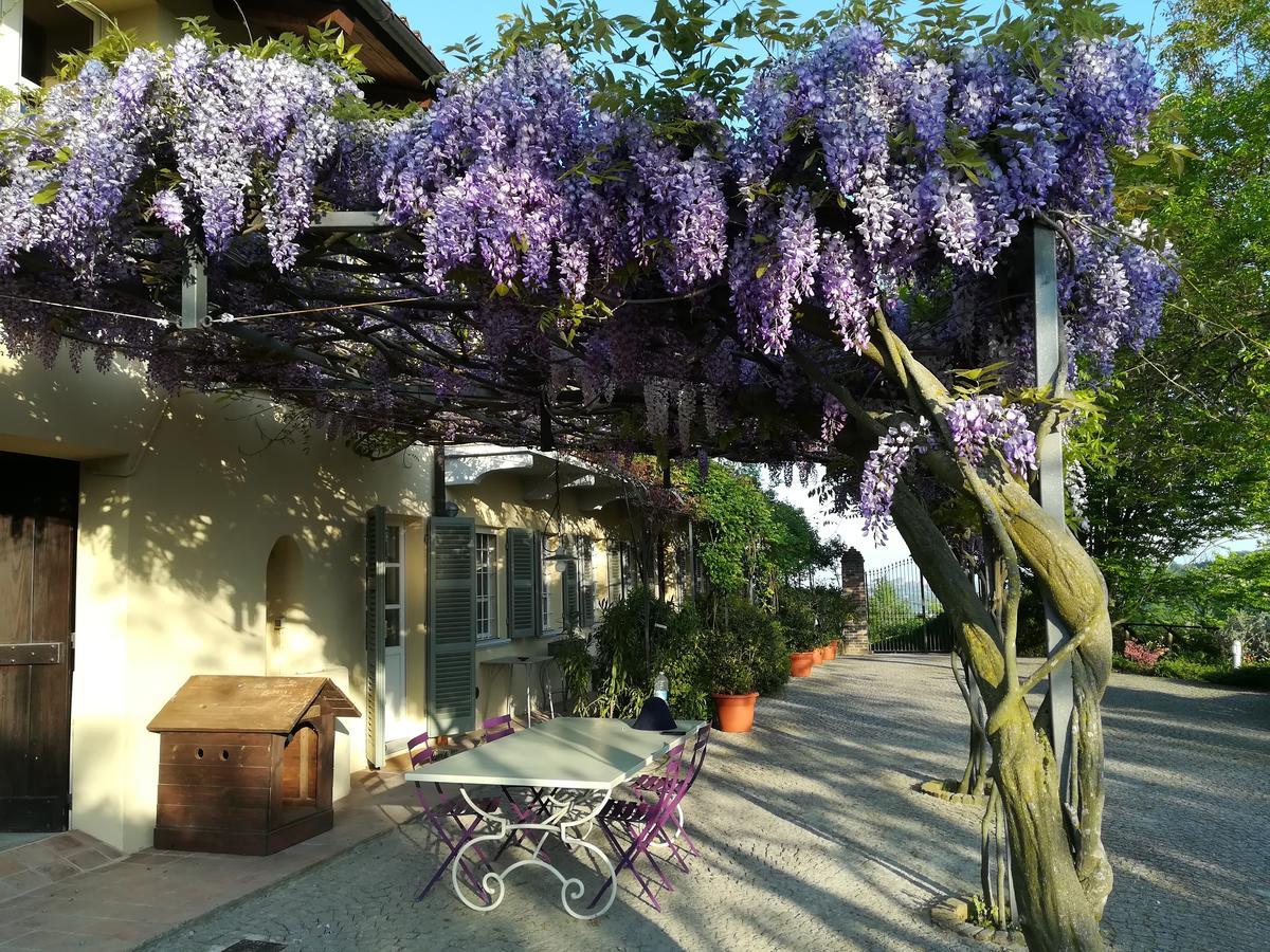 Sotto La Luna Bruna B&B 코코나토 외부 사진
