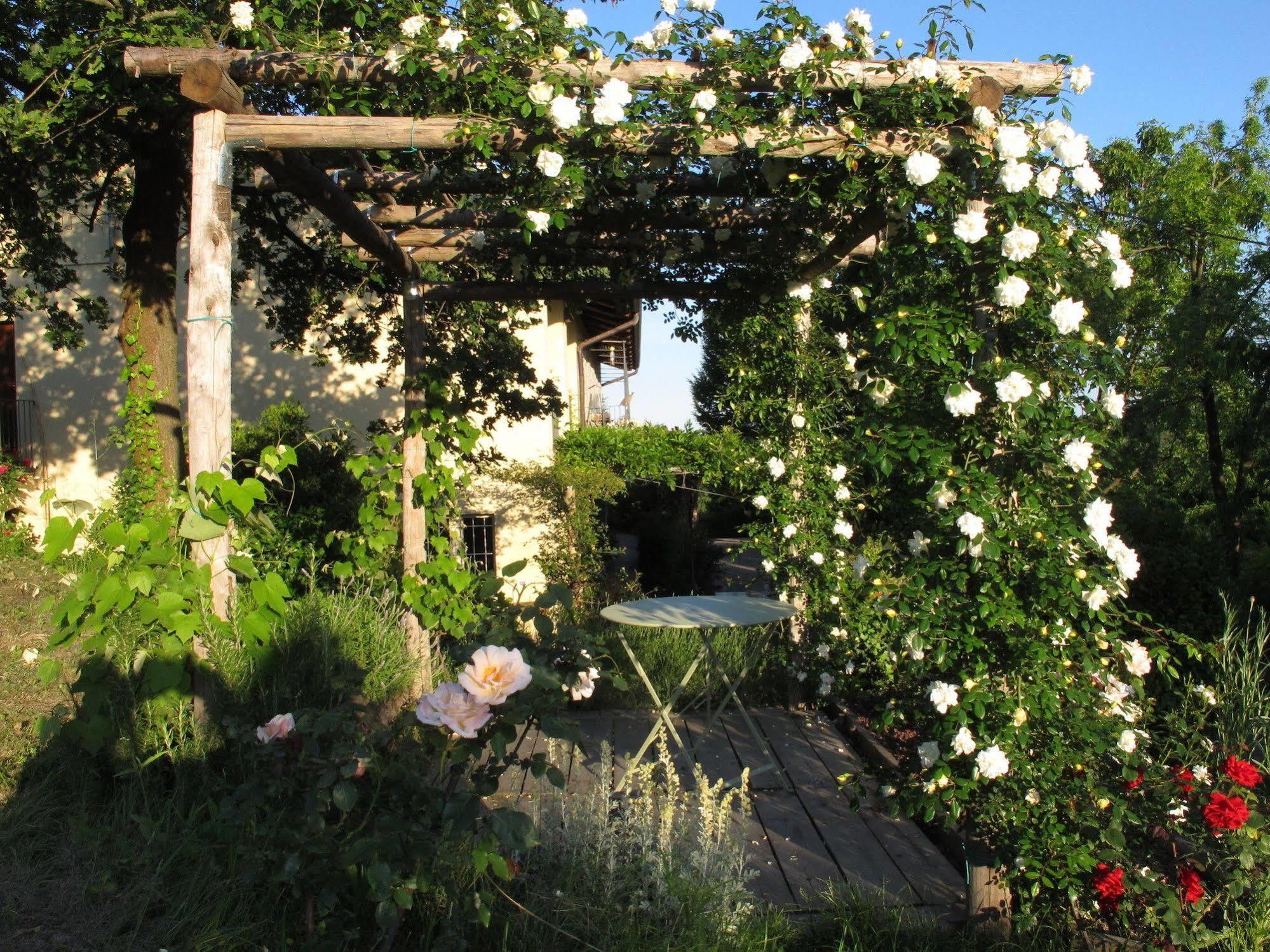 Sotto La Luna Bruna B&B 코코나토 외부 사진