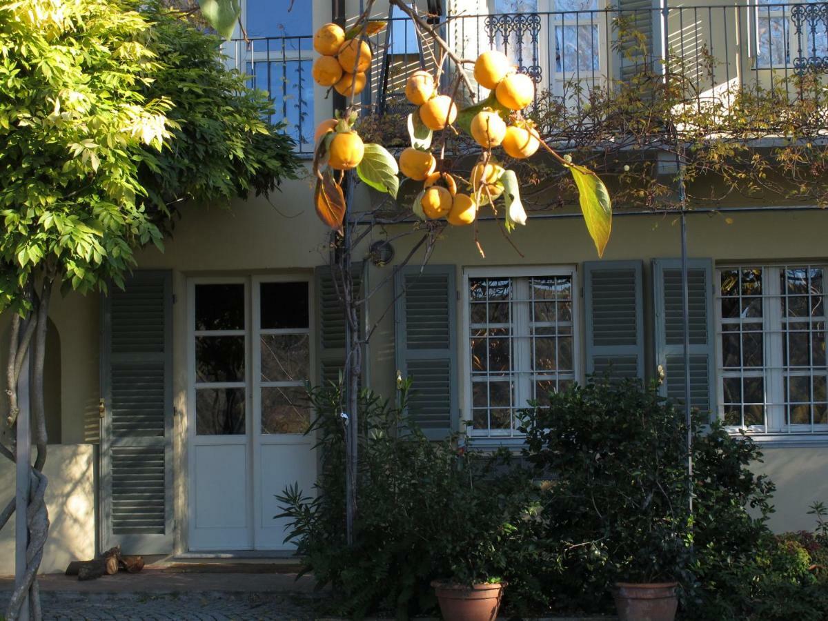 Sotto La Luna Bruna B&B 코코나토 외부 사진